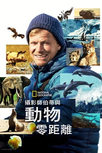 贝尔蒂·格雷戈里:与动物零距离