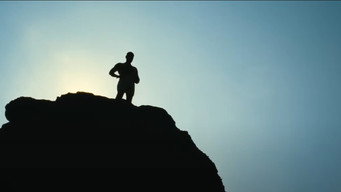 #16 Raavanan