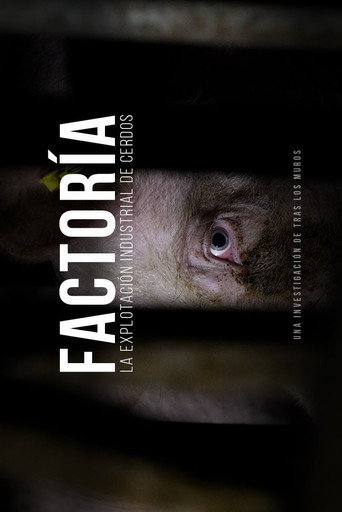 Factoría: La explotación industrial de cerdos