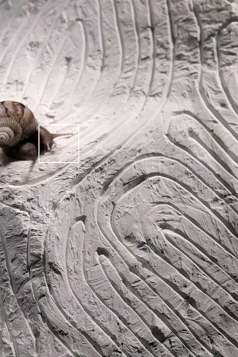 Orbital Squares (2021)