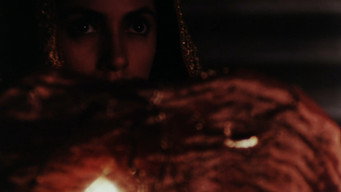 #12 Maya Memsaab