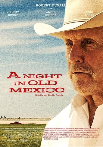 A Night in Old Mexico (2013) A Night in Old Mexico (2013)