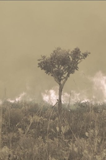 Tales from the Source poster