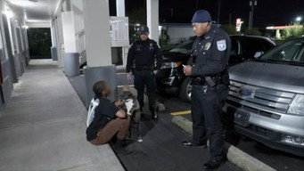 Vehicle and Foot Pursuit