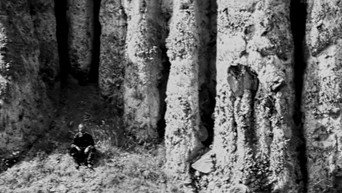 Дерево бажання (1968)