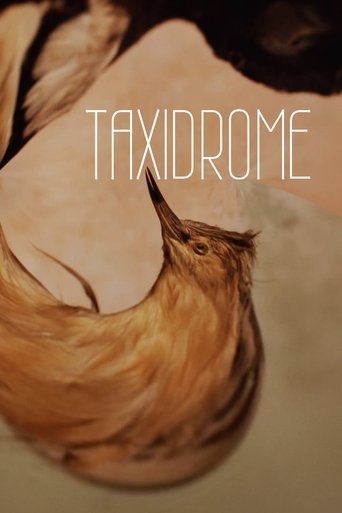 Taxidrome (2021) Taxidrome (2021)