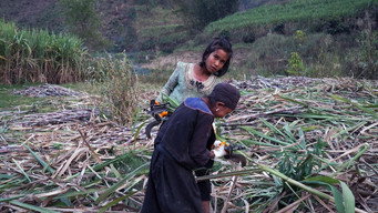 Escena 5 de Ta'ang