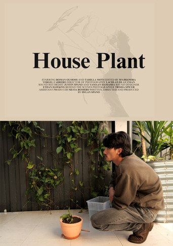 House Plant