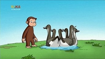 Water to Ducks