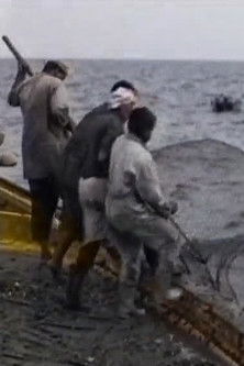 Haddrah and Gargour poster