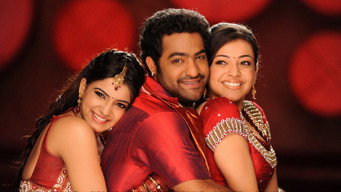 #5 Brindavanam
