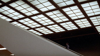 #34 The Parallax View