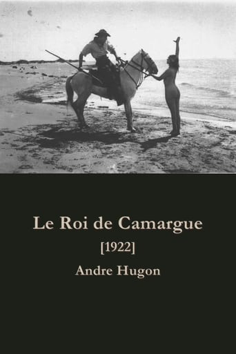 Poster of Le roi de Camargue