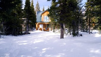 #1 The Christmas Cabin