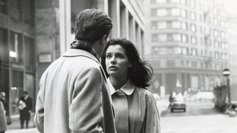Una storia milanese (1962)