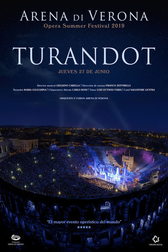 FESTIVAL ARENA DI VERONA - TURANDOT poster