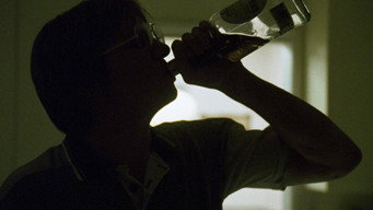 Дамер (2002)