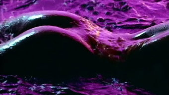 Playboy's Wet & Wild (1989)