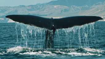 South Island's Treasures