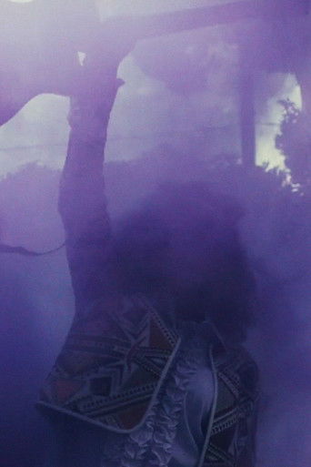 Jimi Could Have Fallen from the Sky poster 5