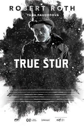 Poster of True Štúr