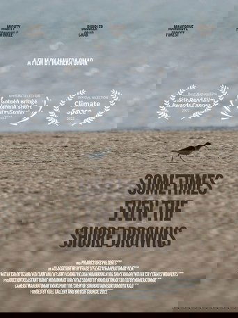 Sometimes Even the Shore Drowns