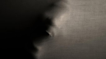 Galeria 2 - ReVisitant