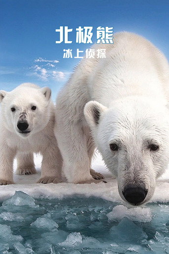北极熊：冰上侦探 海报