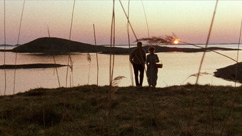 The Telegraphist (1993)