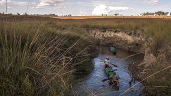 #14 Into The Okavango