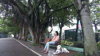 第10話：Episode 10