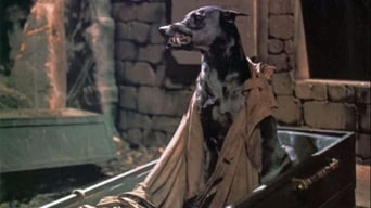#3 Dracula's Dog