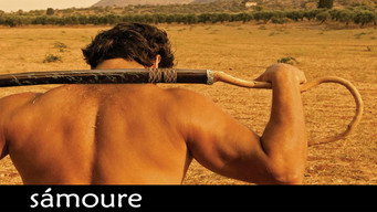 Samoure (2005)