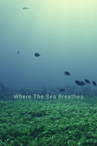 Where The Sea Breathes