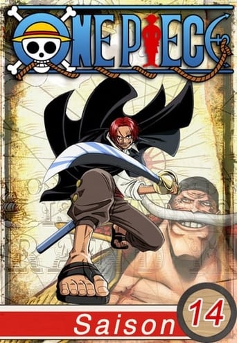 One Piece: 14 Temporada