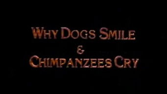 Why Dogs Smile and Chimpanzees Cry
