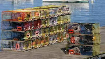 Lobsters; Chesterfield Sofas; 4K Television