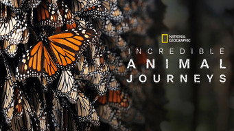 Incredible Animal Journeys (2023- )