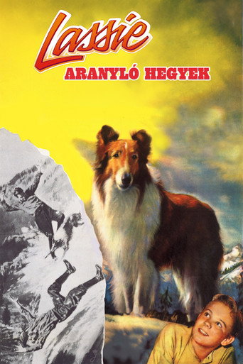 Lassie – Aranyló hegyek plakát