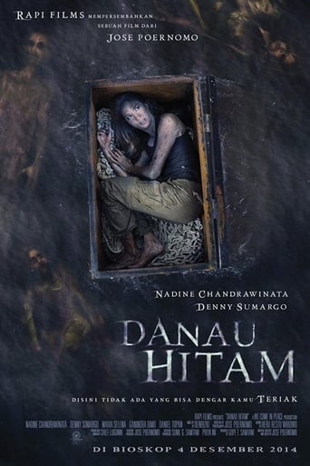 Poster of Danau Hitam