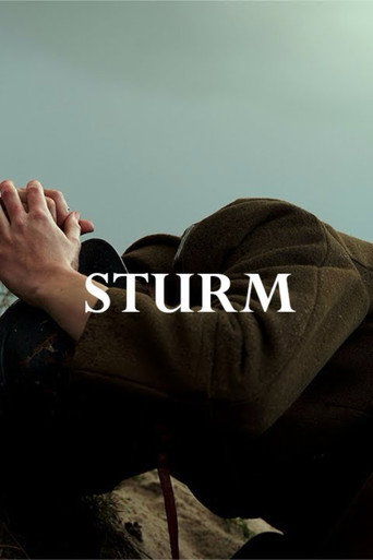 Sturm (2024)