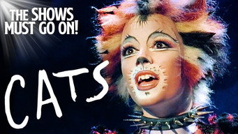 #4 Cats
