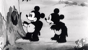The Bears and Bees (1932)