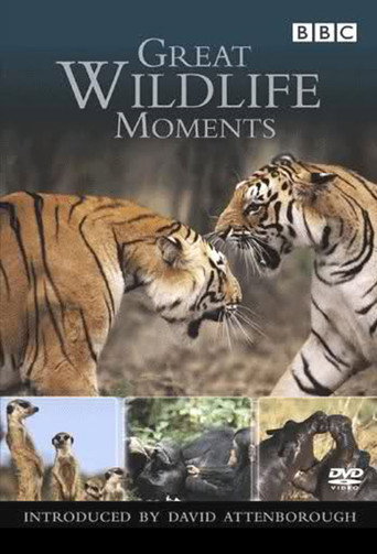 Great Wildlife Moments (2003)