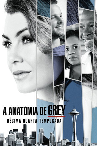 Grey’s Anatomy: Season 14