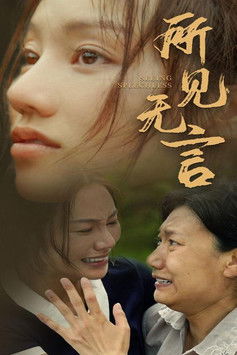 所见无言 poster