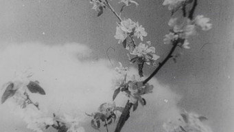 Bezhin Meadow: Sequences from an Unfinished Film (1935)