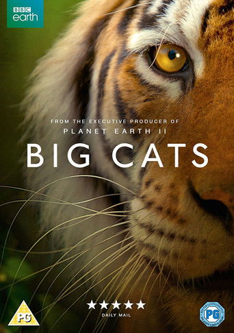 Big Cats (2018)