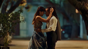 Galeria 5 - Qué León