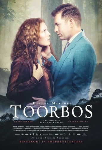 Poster of Toorbos